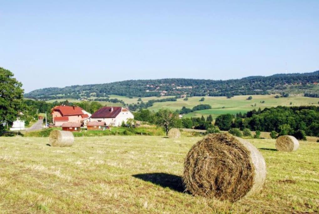 La Maison D'Elodie Foncine-le-Haut Esterno foto